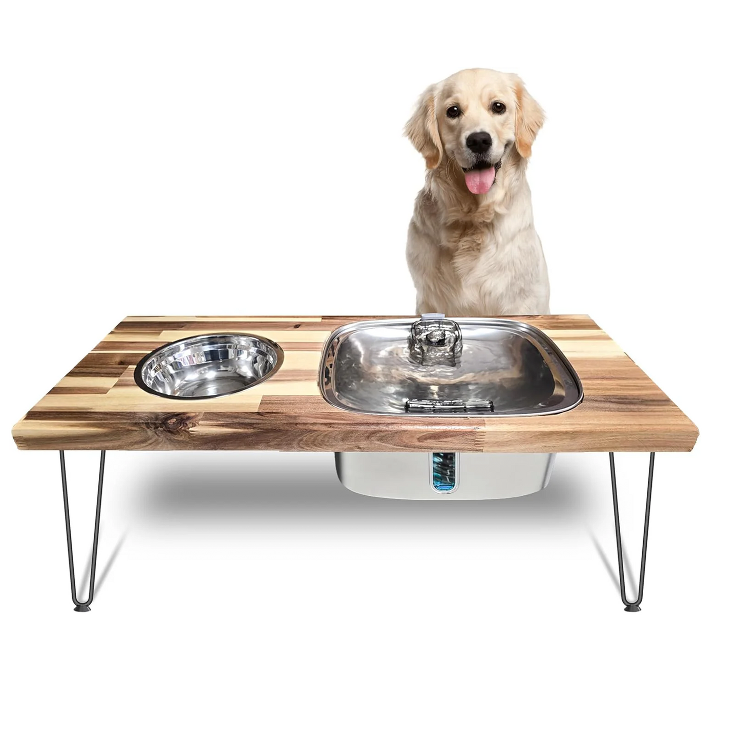 Elevated Dog Feeding Station with 9L Stainless Steel Water Fountain & 33oz Bowl