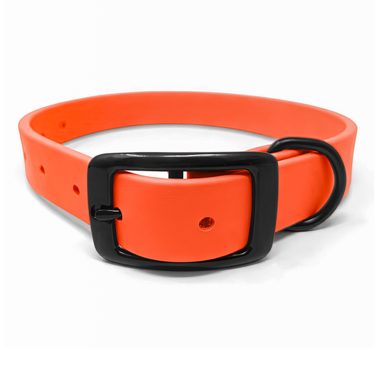 Regal Dog Products Waterproof Standard Dog Collar with Black Hardware