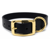Regal Dog Products Waterproof Dog Collar with Gold Hardware