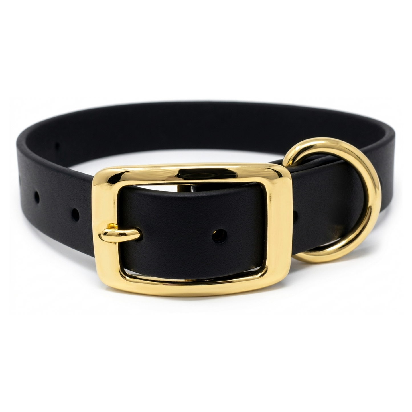 Regal Dog Products Waterproof Dog Collar with Gold Hardware