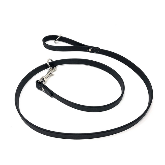 Regal Dog Products Waterproof Leash – 5 ft. Dog Leash with Vinyl-Coated Webbing