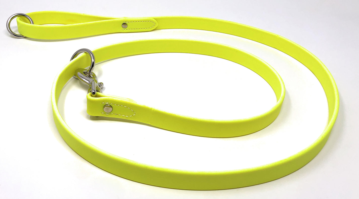 Regal Dog Products Waterproof Leash – 5 ft. Dog Leash with Vinyl-Coated Webbing