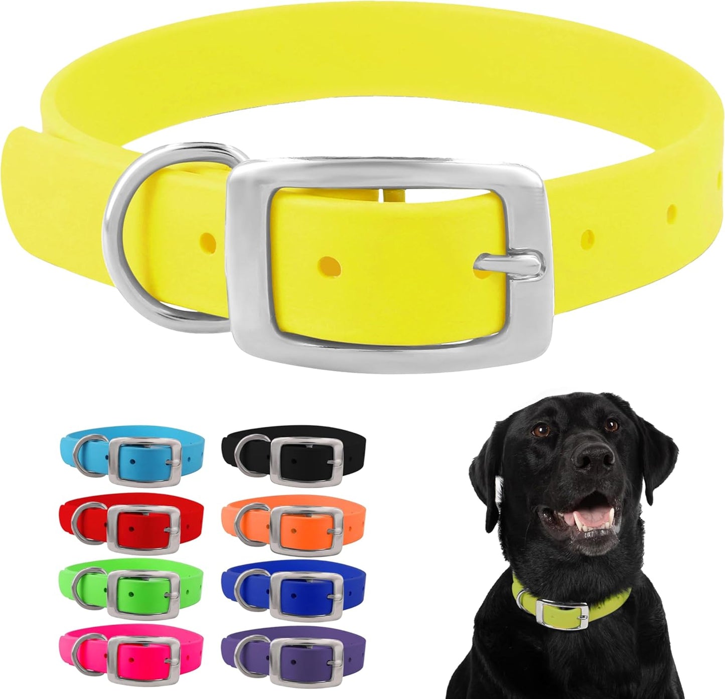 Regal Dog Products Waterproof Dog Collar - Custom Fit Vinyl-Coated Webbing Water Resistant, Double Buckle and D Ring