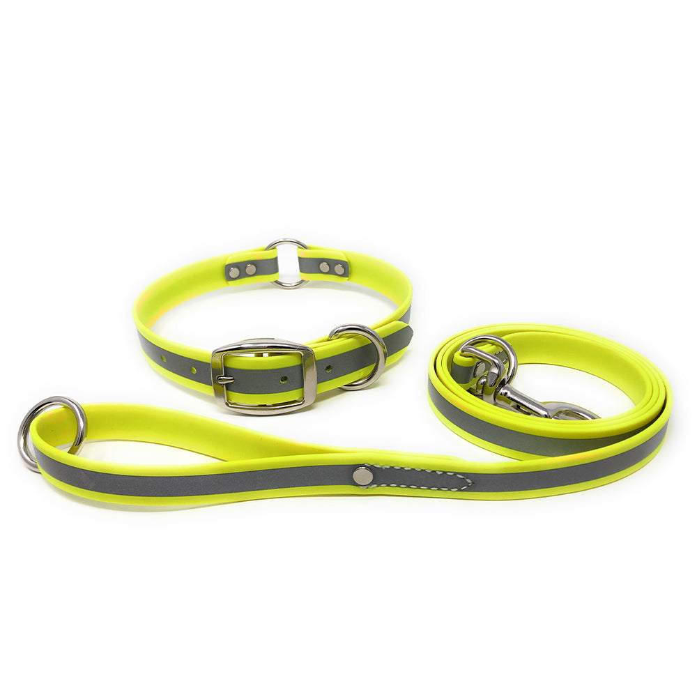 Regal Dog Products Reflective Waterproof Dog Collar and Leash Set