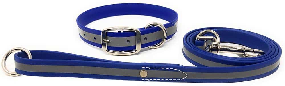 Waterproof Reflective Standard Collar & Matching 5' Leash COMBO