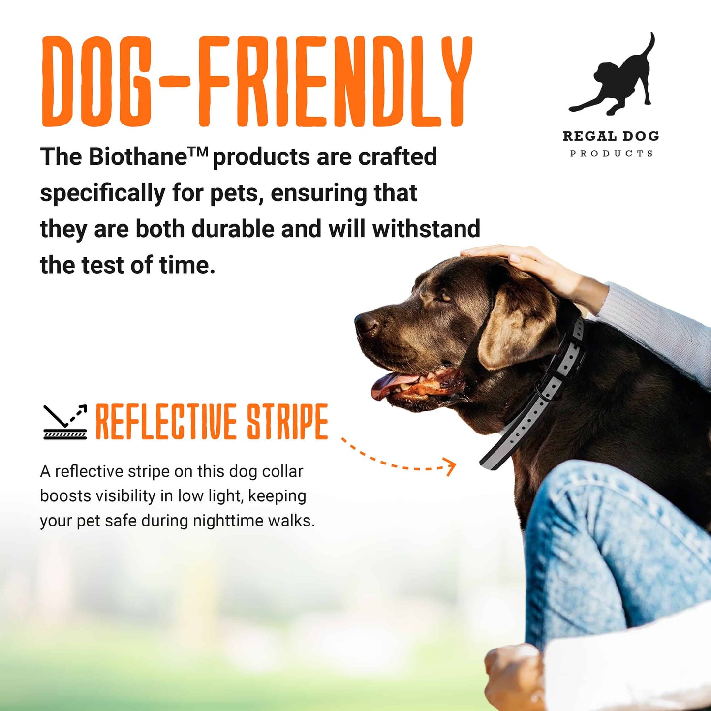 Regal Dog Products Biothane Beta 520 Reflective | Coated Webbing Beta Biothane Roll | Waterproof Biothane Strap | Super Heavy Duty