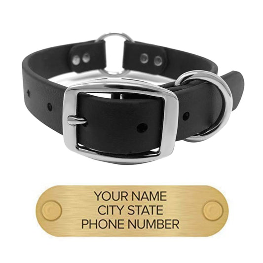 Regal Dog Products Personalized Dog Collar with Custom Engraved Name Plate - with Double Buckle & Center Ring