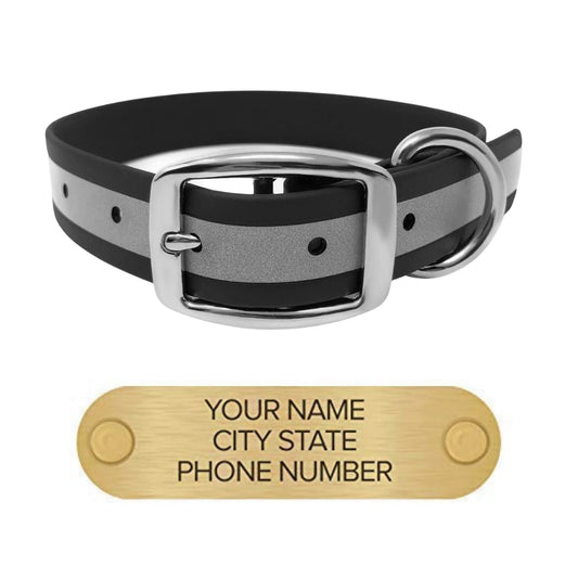 Regal Dog Products Reflective Dog Collar with Custom Engraved Name Plate with D Ring & Double Buckle