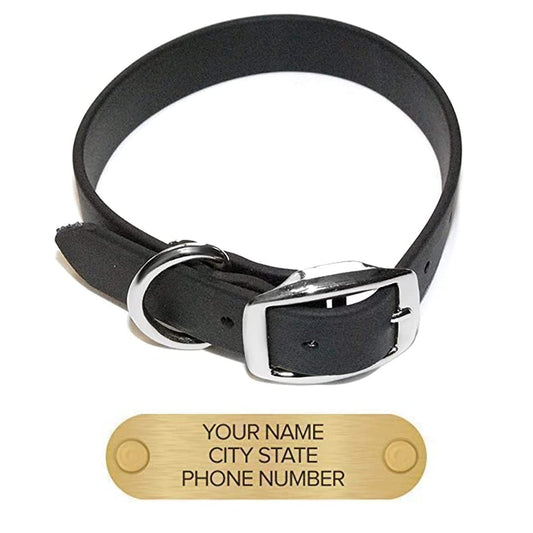 Regal Dog Products Waterproof Dog Collars with Custom Engraved Name Plate