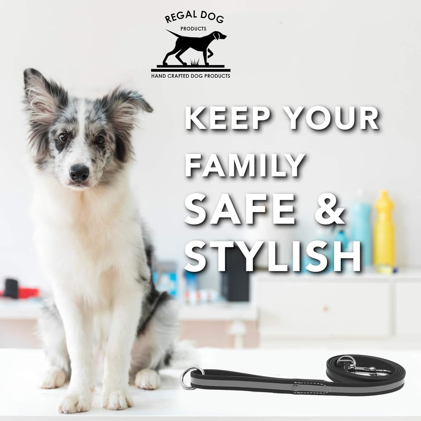 Regal Dog Products Reflective Leash – 5 ft. Dog Leash with Easy to Use Collar Hook
