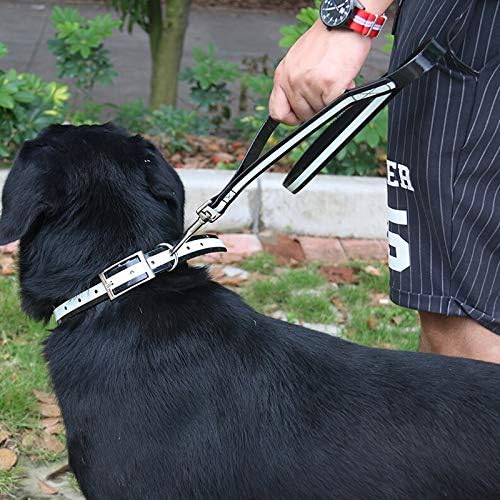 Regal Dog Products Reflective Leash – 5 ft. Dog Leash with Easy to Use Collar Hook