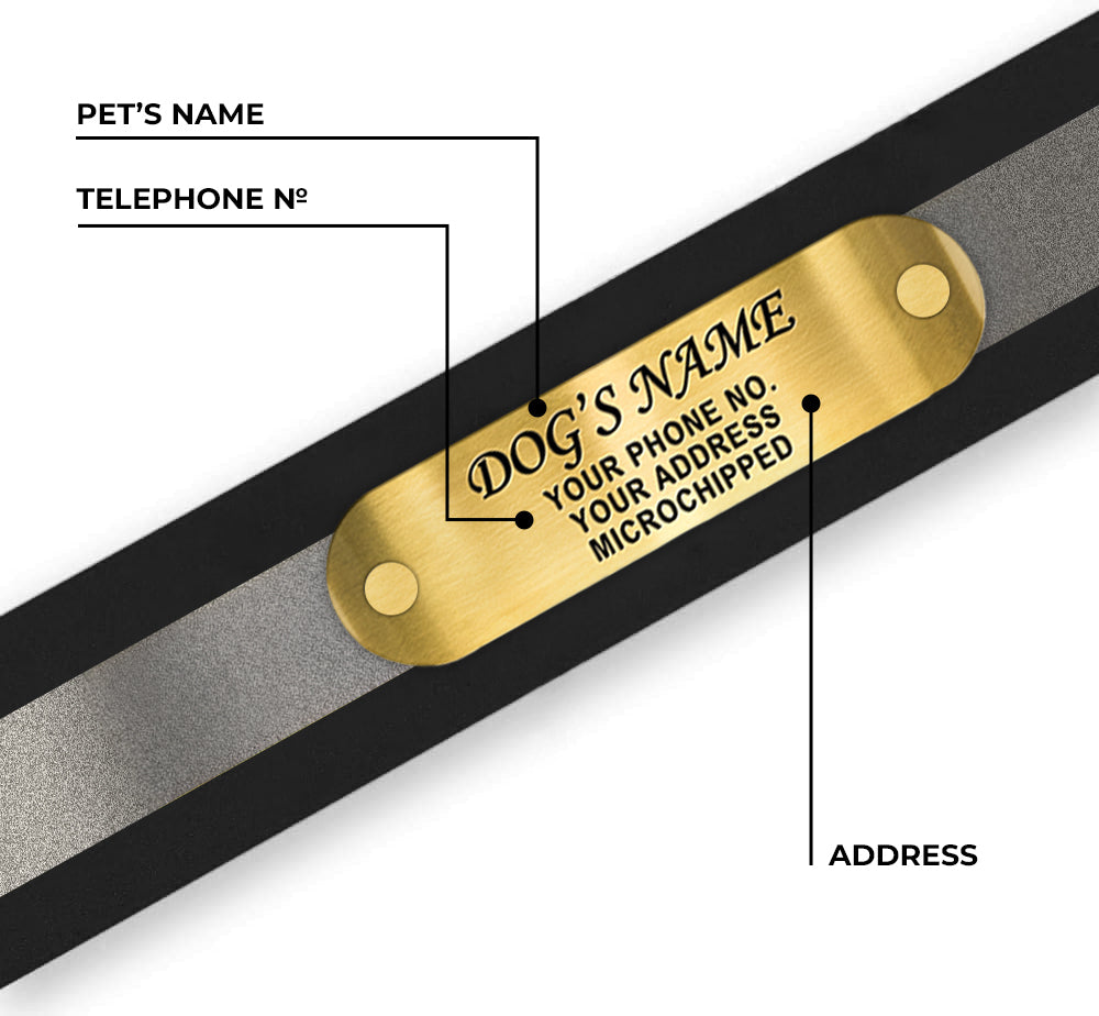 Regal Dog Products Reflective Dog Collar with Custom Engraved Name Plate and Heavy Duty Center Ring