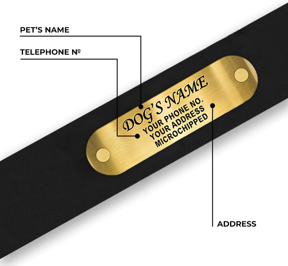 Regal Dog Products Waterproof Dog Collars with Custom Engraved Name Plate