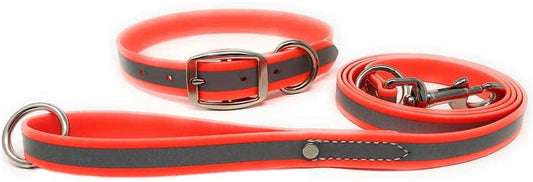 Waterproof Reflective Standard Collar & Matching 5' Leash COMBO