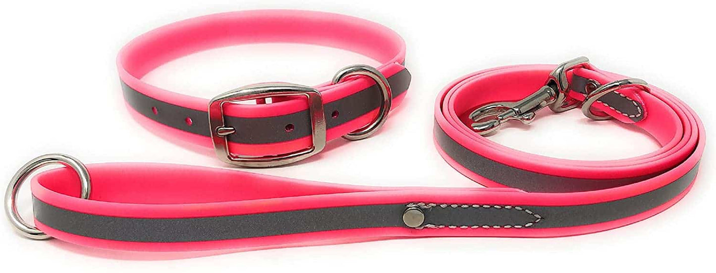 Waterproof Reflective Standard Collar & Matching 5' Leash COMBO