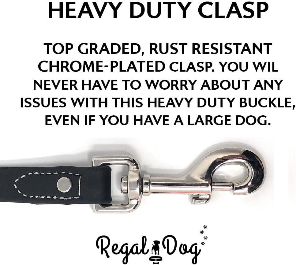 Regal Dog Products Waterproof Leash – 5 ft. Dog Leash with Vinyl-Coated Webbing