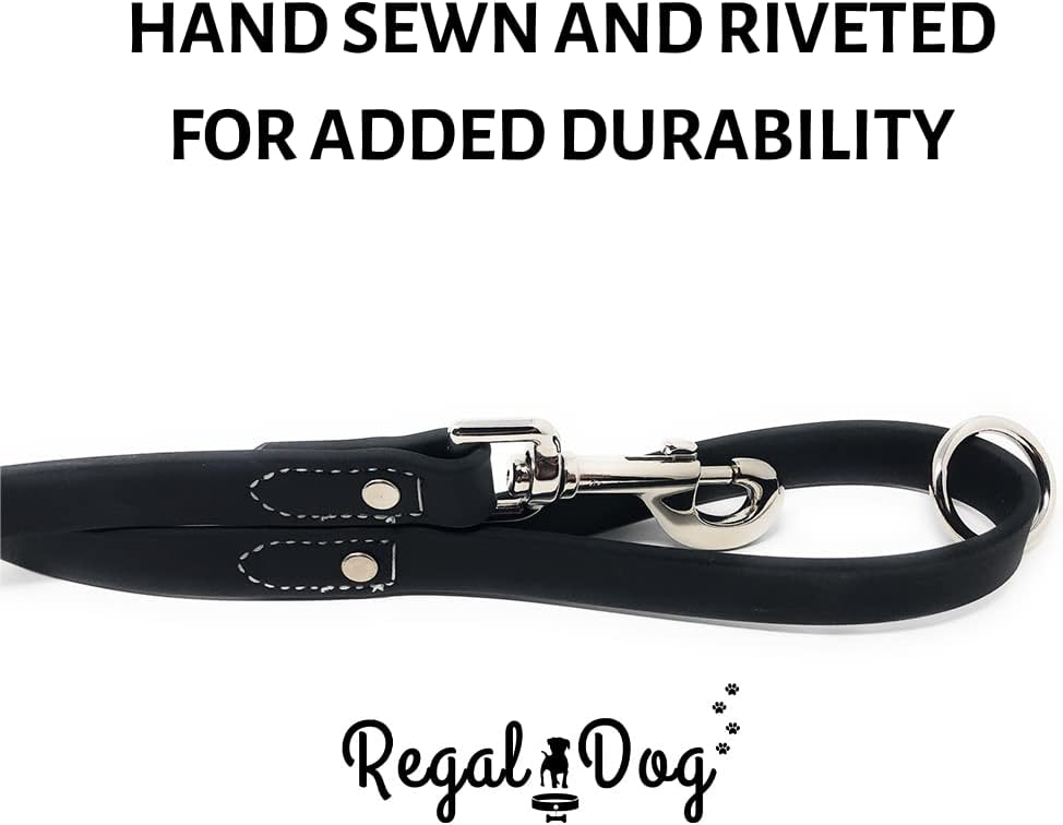 Regal Dog Products Waterproof Leash – 5 ft. Dog Leash with Vinyl-Coated Webbing