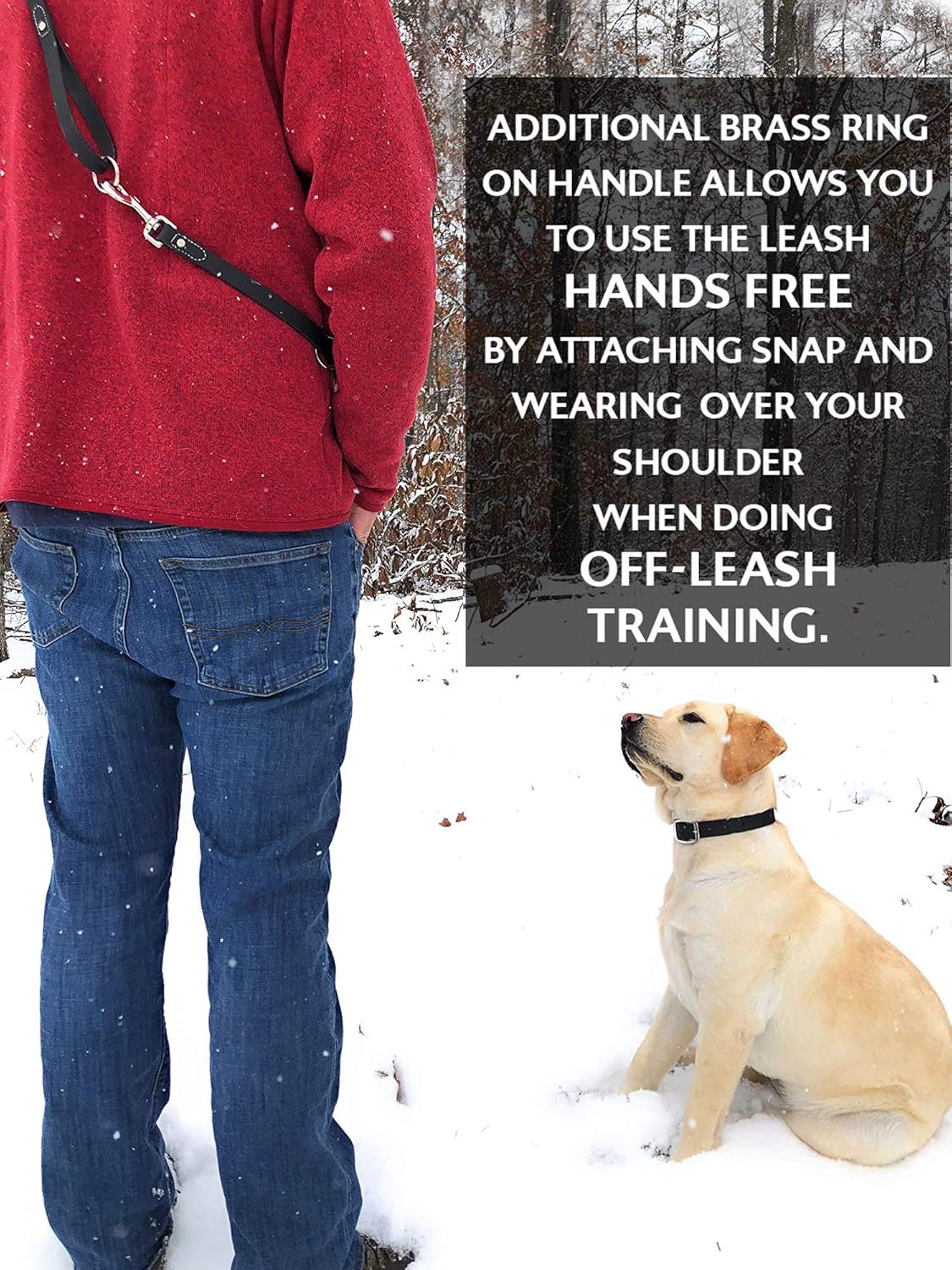 Regal Dog Products Waterproof Leash – 5 ft. Dog Leash with Vinyl-Coated Webbing