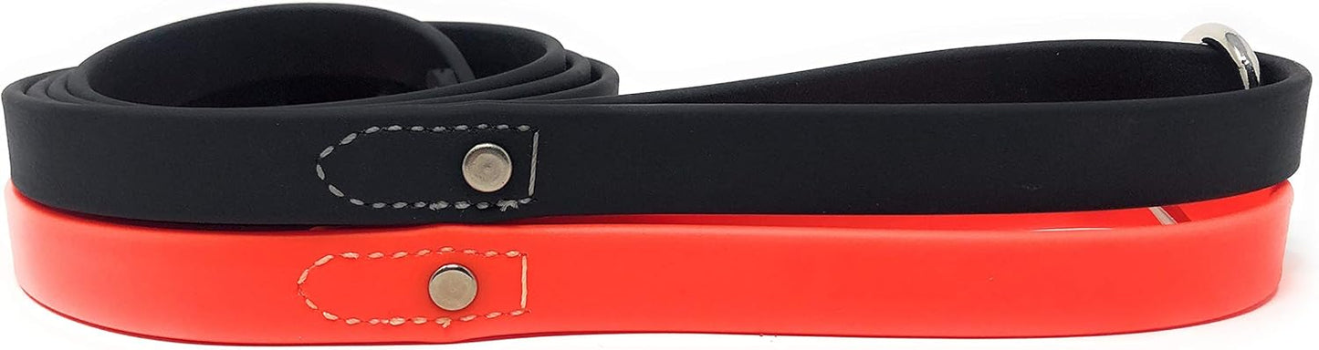 Regal Dog Products Waterproof Leash – 5 ft. Dog Leash with Vinyl-Coated Webbing